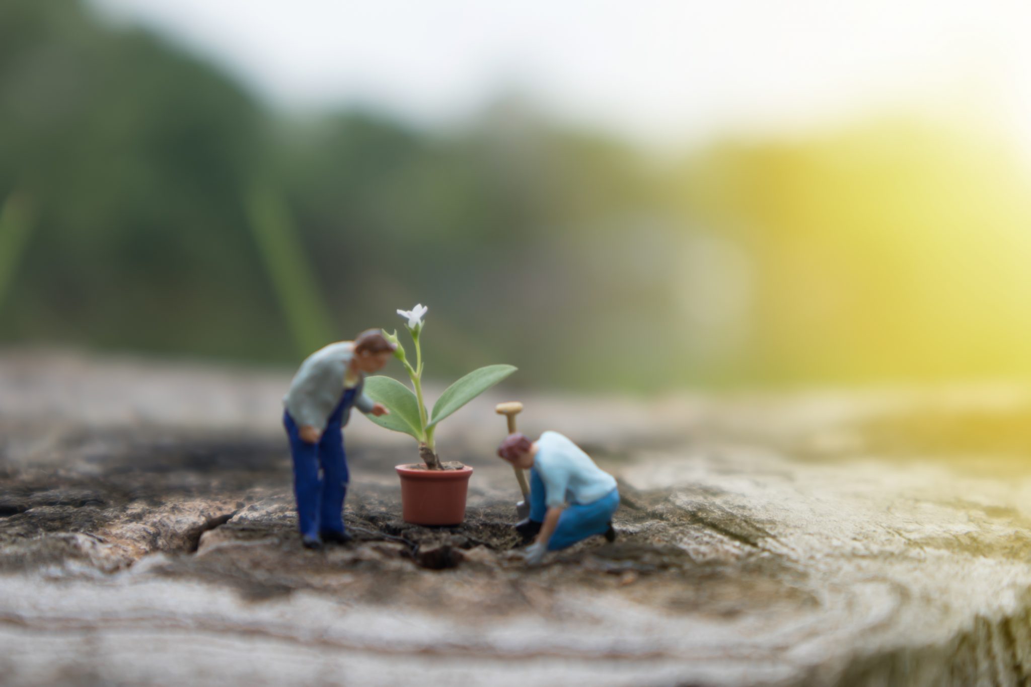 Community Relations, influencers, strategic, networking, special events, grassroots